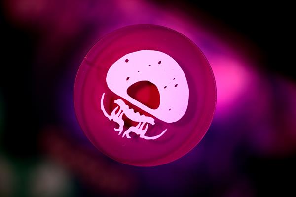 Legions  Univers d'Abyss  couverture Roi Estran (fr-en)