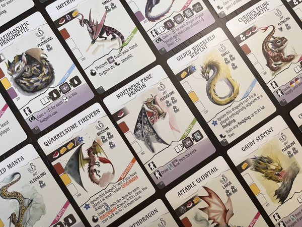 Wyrmspan - ext. L'Académie des Dragons (fr)