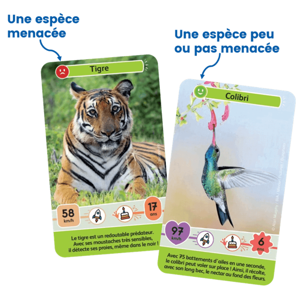 Défis Nature Junior / Mystères de la jungle